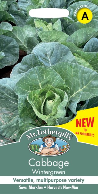 Mr Fothergill's Fothergills Cabbage Wintergreen