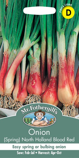 Mr Fothergill's Fothergills Onion-spring Holland Blood