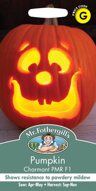 Mr Fothergill's Fothergills Pumpkin Charmant Pmr Fi