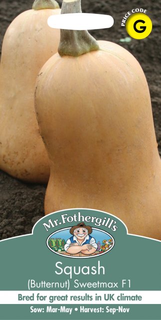 Mr Fothergill's Fotherfills Squash (butternut) Sweetmax F1