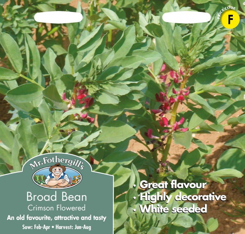 Mr Fothergill's Fothergills Broad Bean Crimson Flowered