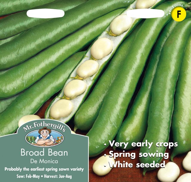 Mr Fothergill's Fothergills Broad Bean Monica