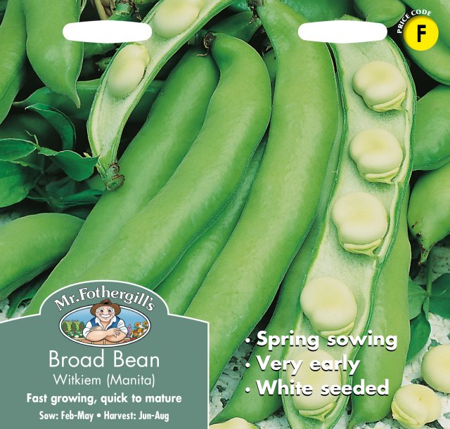 Mr Fothergill's Fothergills Broad Bean Witkiem (manita)