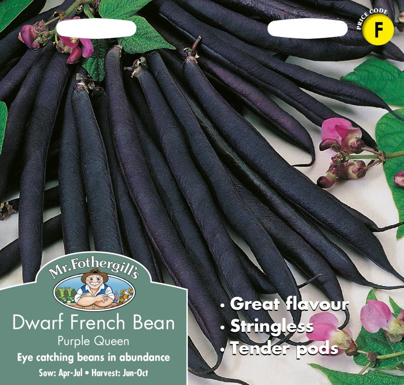 Mr Fothergill's Fothergills Dwarf Bean Purple Queen