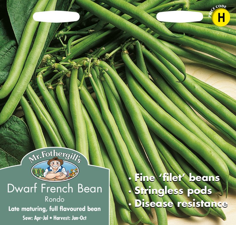 Mr Fothergill's Fothergills Dwarf French Bean Rondo