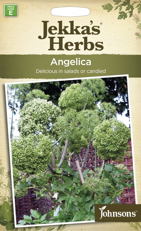 Mr Fothergill's Jekka's Herbs Angelica