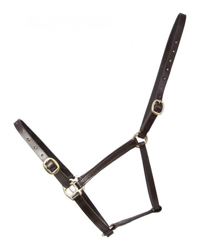 Hyland Leather Foal Headcollar