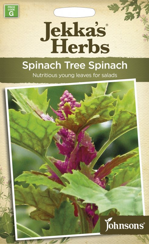 Mr Fothergill's Jekka's Herbs Spinach Tree Spinach