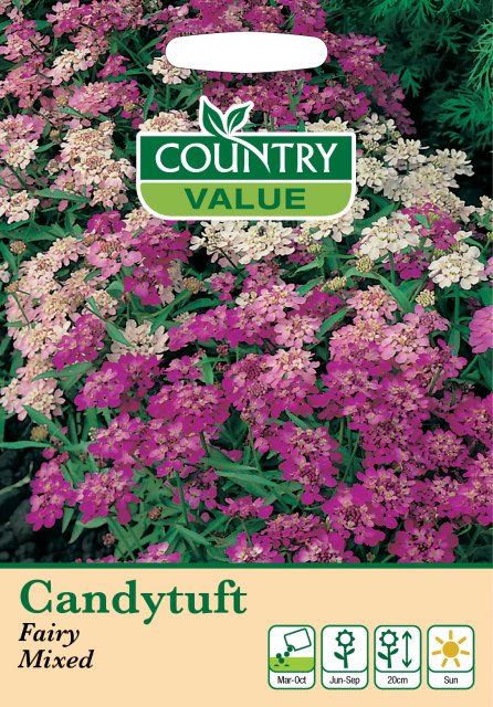 Mr Fothergill's Candytuft Fairy Mixed Cv Seeds