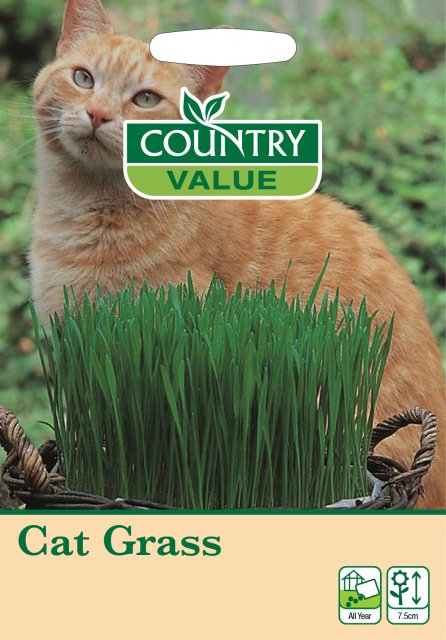 Mr Fothergill's Cat Grass Cv Seeds