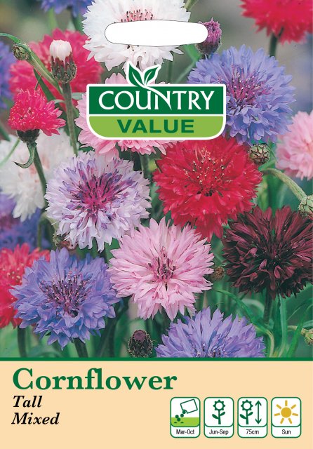 Mr Fothergill's Cornflower Tall Mixed Cv Seeds