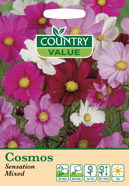 Mr Fothergill's Cosmos Sensation Mixed Cv Seeds