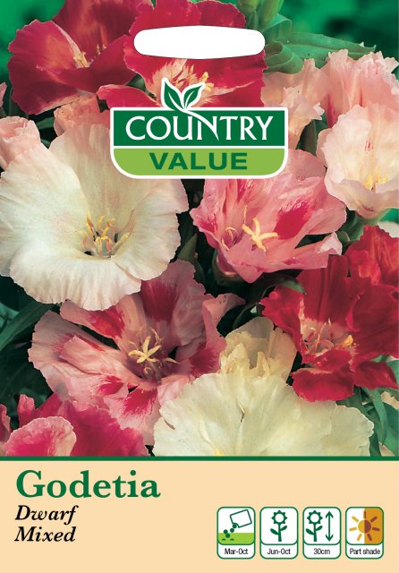 Mr Fothergill's Godetia Dwarf Mixed Cv Seeds