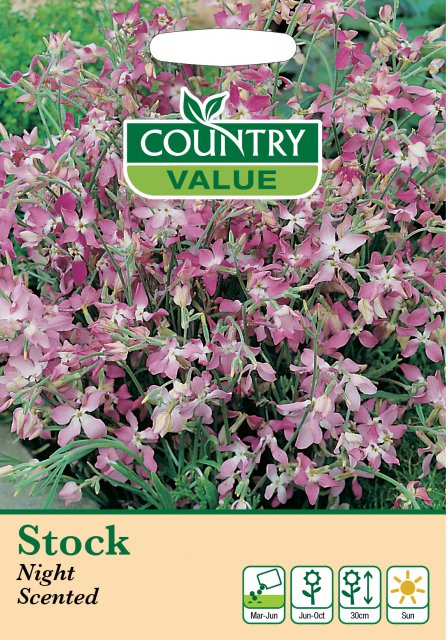 Mr Fothergill's Stock Night Scented C V Seeds