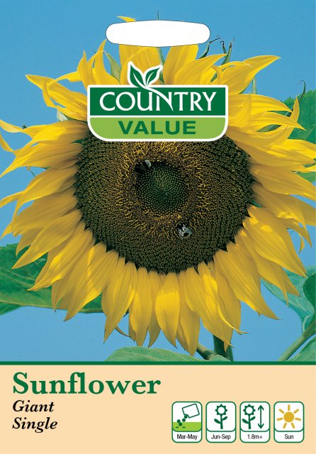 Mr Fothergill's Sunflower Giant Single C V Seeds