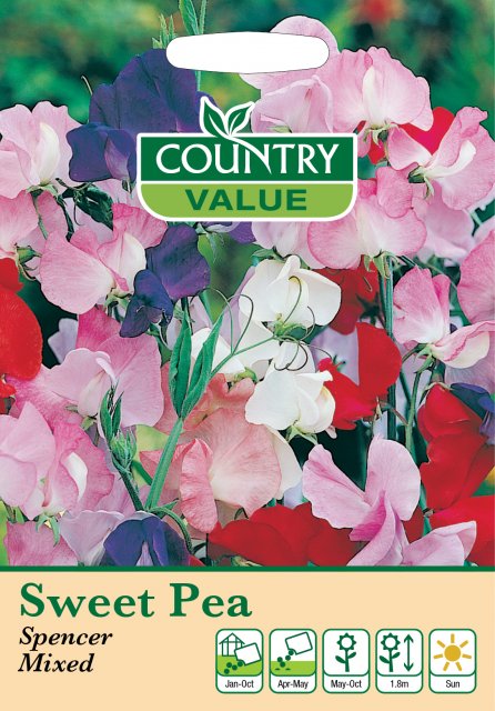 Mr Fothergill's Sweetpea Spencer Mixed C V Seeds