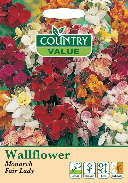 Mr Fothergill's Wallflower Monarch Fairlady C V Seeds