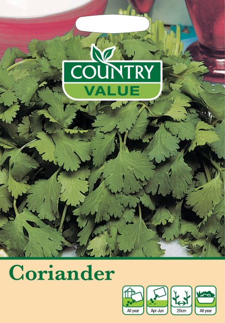 Mr Fothergill's Coriander C V Seeds