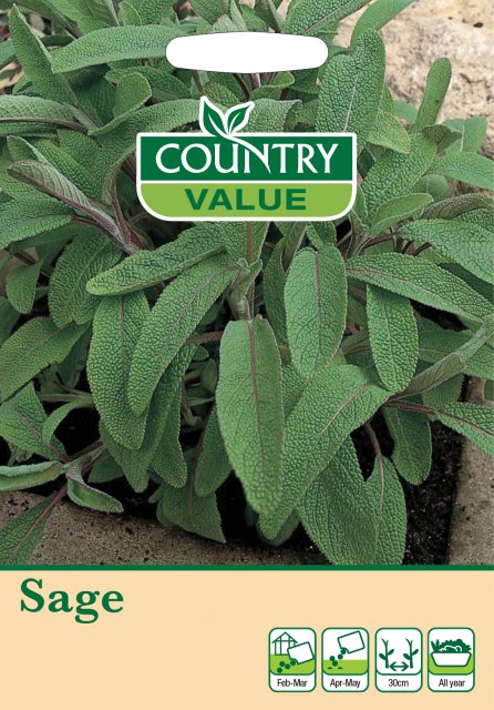 Mr Fothergill's Sage C V Seeds