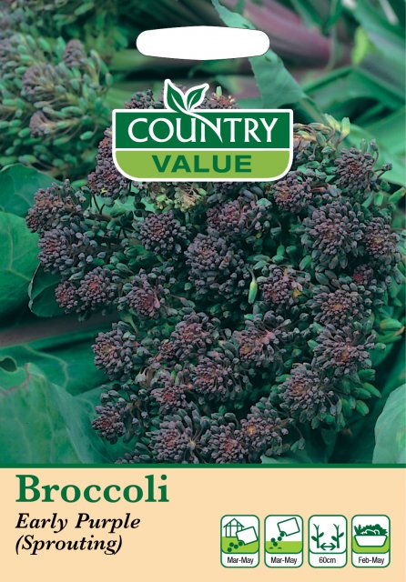 Mr Fothergill's Broccoli Early Purp Sprout C V Seeds