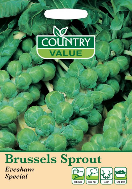 Mr Fothergill's Brussels Sprouts Evesham Sp C V Seeds
