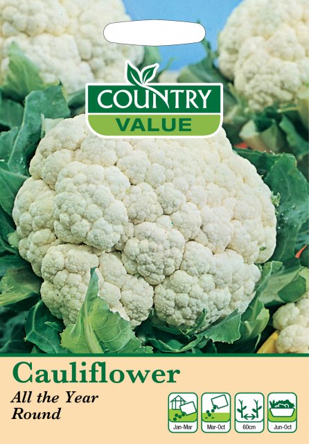 Mr Fothergill's Cauliflower All Year Round C V Seeds