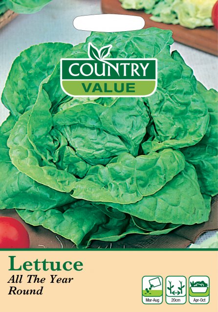 Mr Fothergill's Lettuce All The Year Round C V Seeds