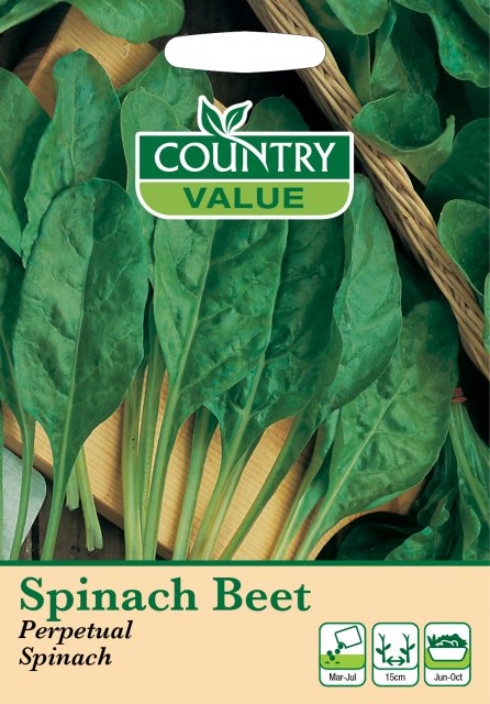 Mr Fothergill's Spinich Beet Perpetual Leaf C V Seeds