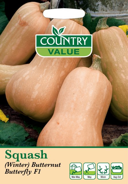 Mr Fothergill's Squash Winter Butternut But C V Seeds