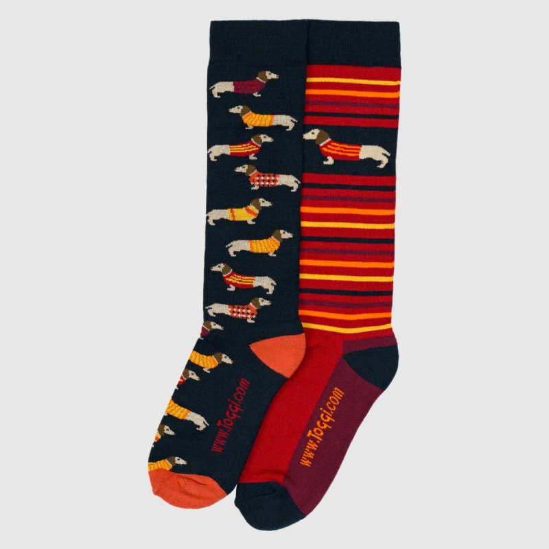 Toggi Toggi Womens Dachshund Sock 2pk Navy / Orange