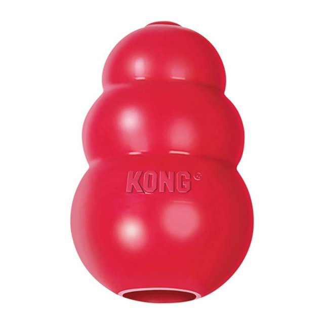 KONG Kong Classic - Large