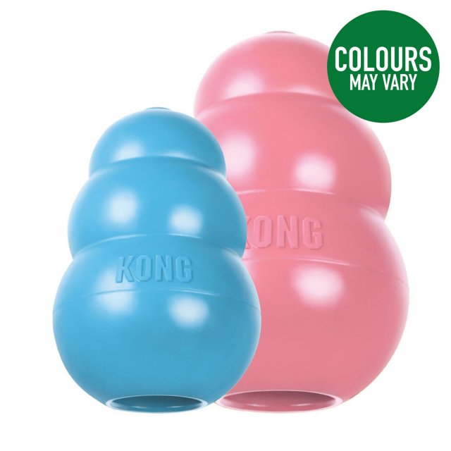 Kong clearance classic medium