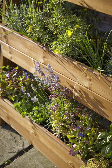 Tom Chambers Tom Chambers Herb Garden Planter