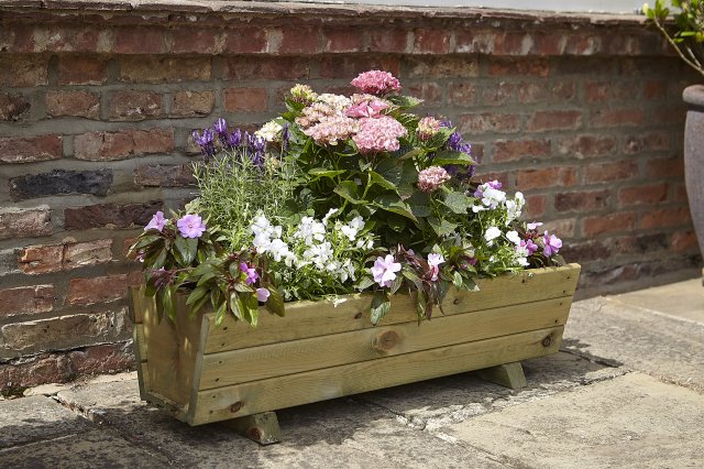 Tom Chambers Tom Chambers Rosemoor Planter