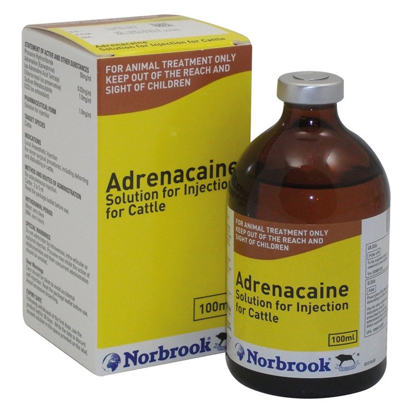 Norbrook Adrenacaine - 100ml