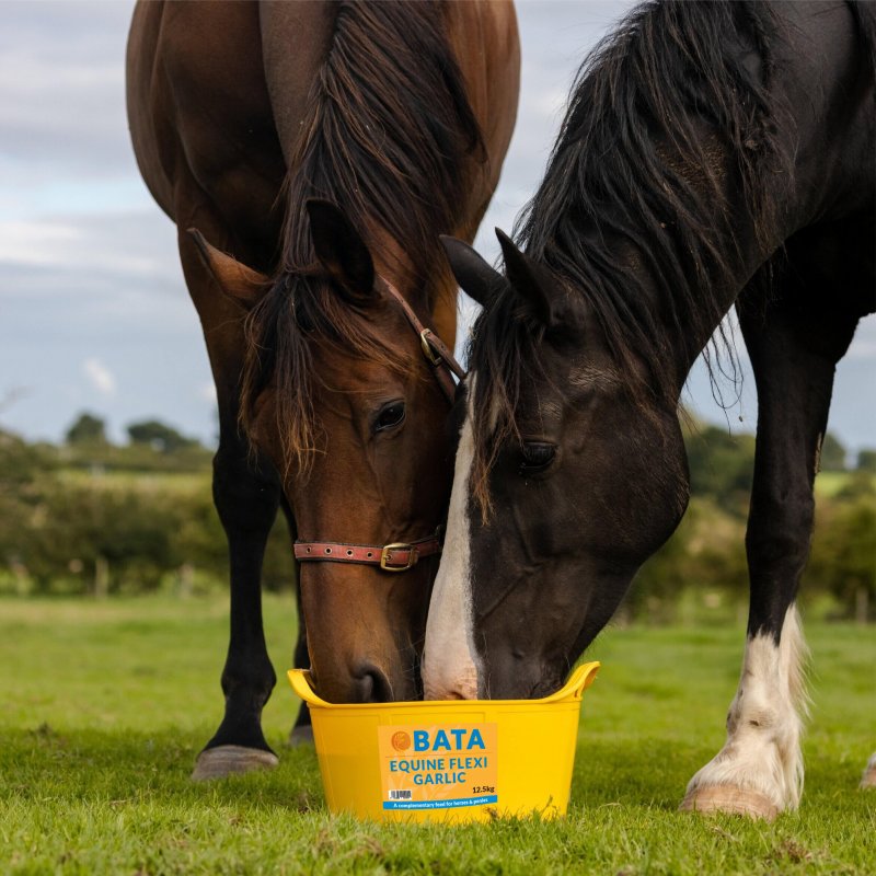 BATA Dallas Keith Garlic Equine Flexi Trug