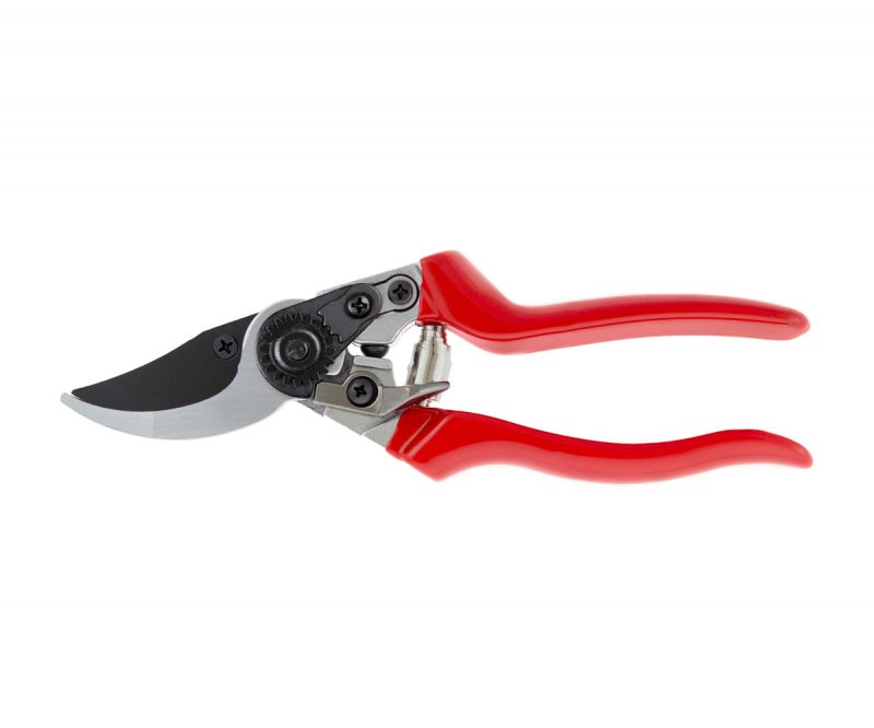 Darlac Darlac Professional Pruner