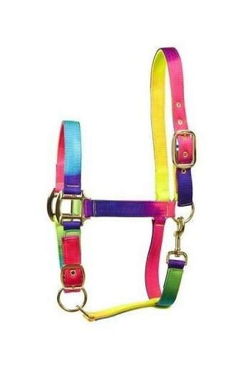 Elico Elico Matterdale Rainbow Headcollar