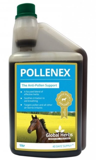 Global Herbs Global Herbs Pollenex Syrup 1l