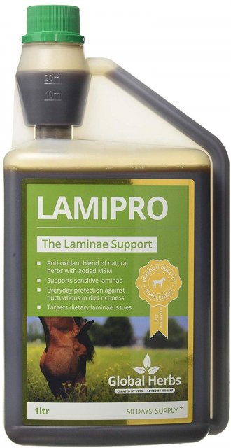 Global Herbs Global Herbs Lamipro Liquid 1l