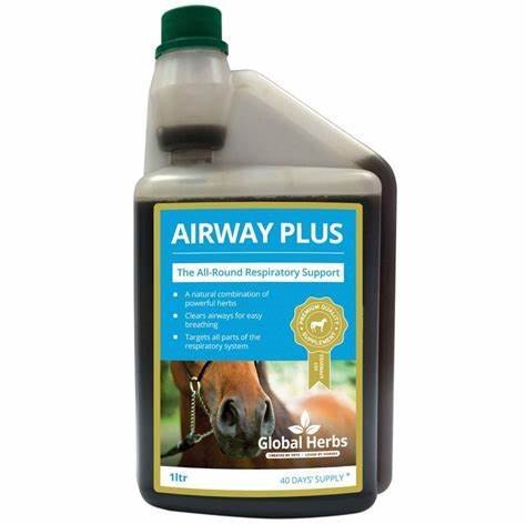 Global Herbs Global Herbs Airways Plus Liquid - 1l