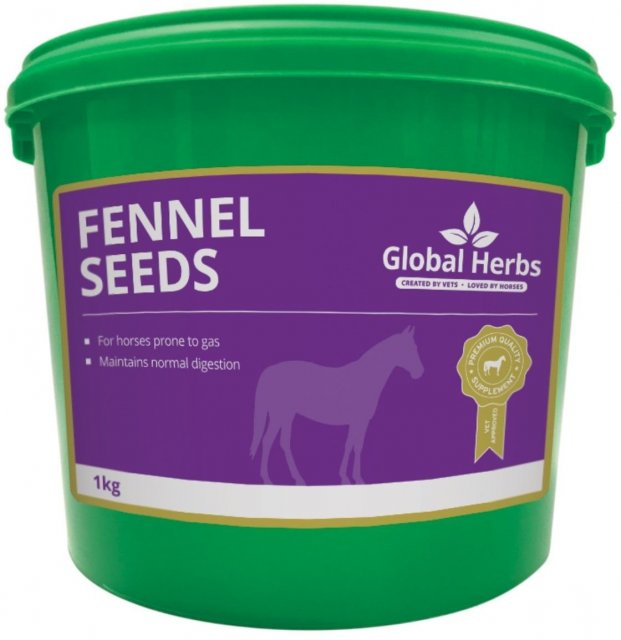 Global Herbs Global Herbs Fennel 1kg