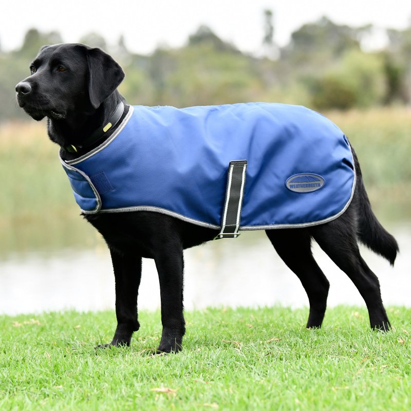 Weatherbeeta Weatherbeeta Comfitec Windbreaker Free Dog Coat