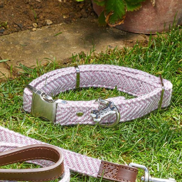 Zoon Zoon Country Walkabout Dog Collar Small - 23-36cm