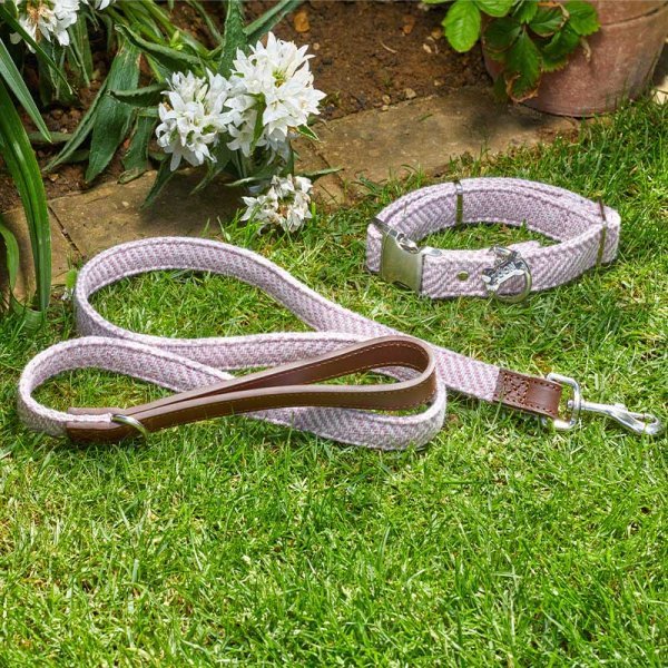 Zoon Zoon Country Walkabout Dog Lead Small - 120 x 1.5cm