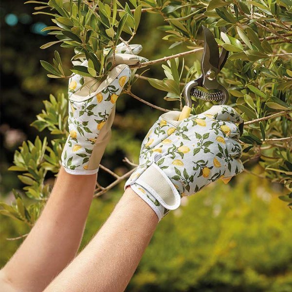 Smart Garden Products SG Smart Gardners Glove