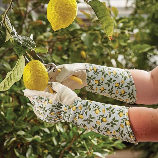 Smart Garden Products SG Gauntlet Gloves