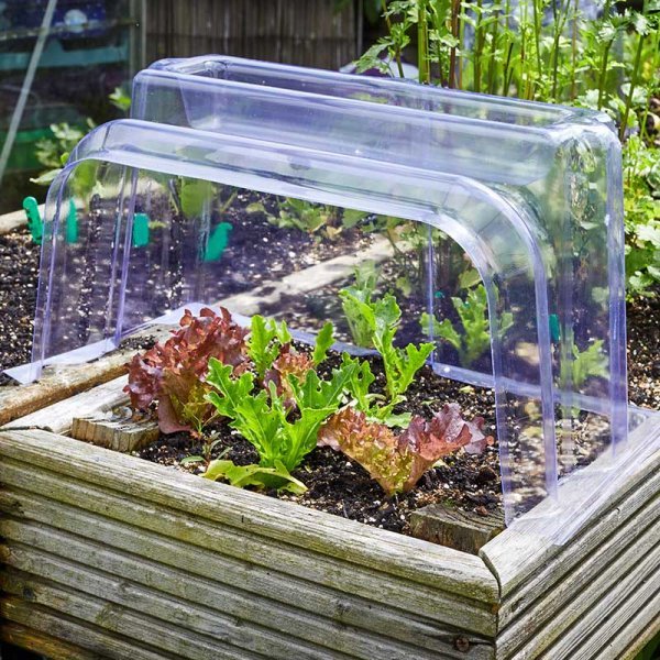 Smart Garden Products SG Clear Cloche Ends
