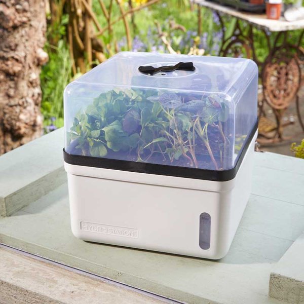 Smart Garden Products SG Grozone Propagator