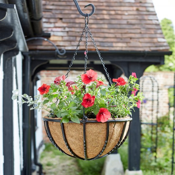 Smart Garden Products SG Forge Hanging Basket - 14